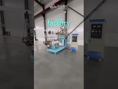 Siemens Motor Pet Treat Dog Food Extruder Chewing Snack Extruder Machine Stainless Steel