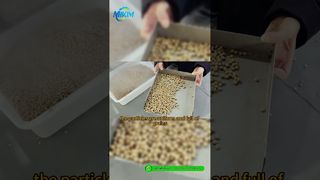 خط تولید گلوله خوراک ماهی DGP-85 | معرفی و فرآیند کامل نسخه ی نمایشی#خط تولید تغذیه ماهی