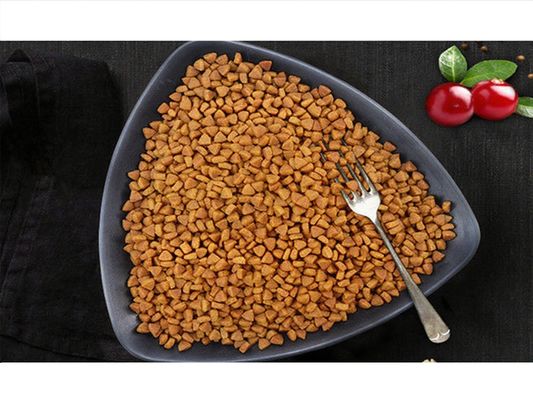 طرح اتوکد دستگاه اکسترودر خوراک ماهی پلت