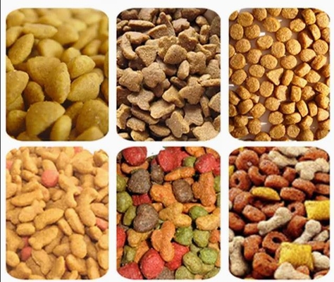 DGP 65 ماشین خارج کردن غذای سگ از فولاد ضد زنگ اتوماتیک / خط پردازش غذای خشک حیوانات خانگی
