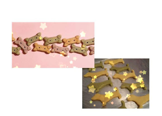 بیسکویت ساخت بیسکویت سگ رنگی DR -280 با عملکرد پایدار