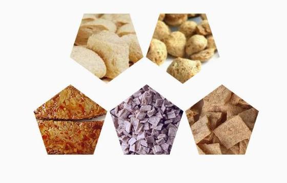 نسخه انگلیسی خط پروتئین سویا / ماشین ساخت دانه های سویا Format AutoCAD