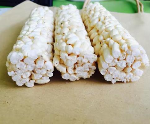 چند تابع ترکیب دانه غلات گرانول شکل نوار تشکیل دستگاه