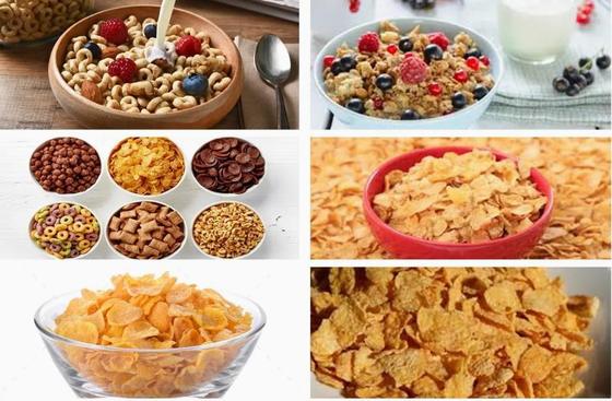 خط پردازش دانه ذرت فولاد ضد زنگ جدید ماشین دو پیچ اکسترودر