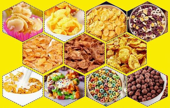 خط تولید پردازش دانه ذرت به طور مداوم و اتوماتیک با استاندارد CE